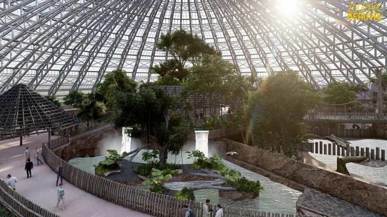 Interview-Projet-Lumion-Dome-Equatorial