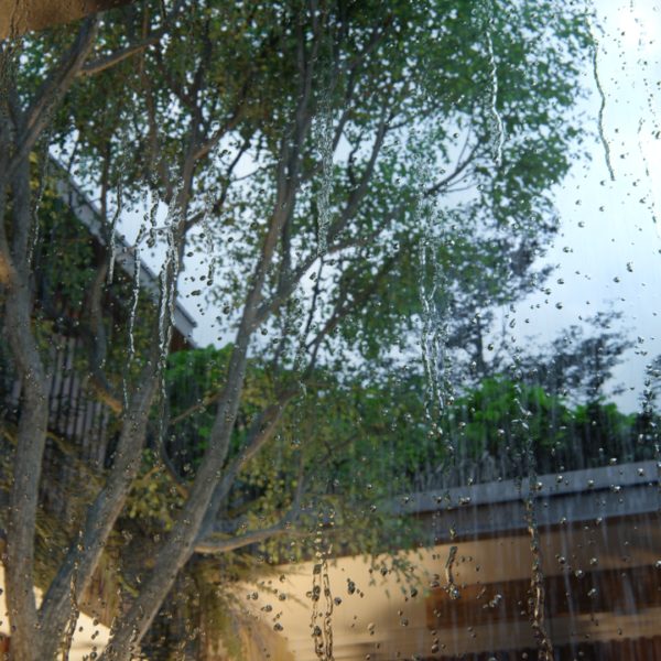 Lumion11_Precipitations_Gouttes_Pluie