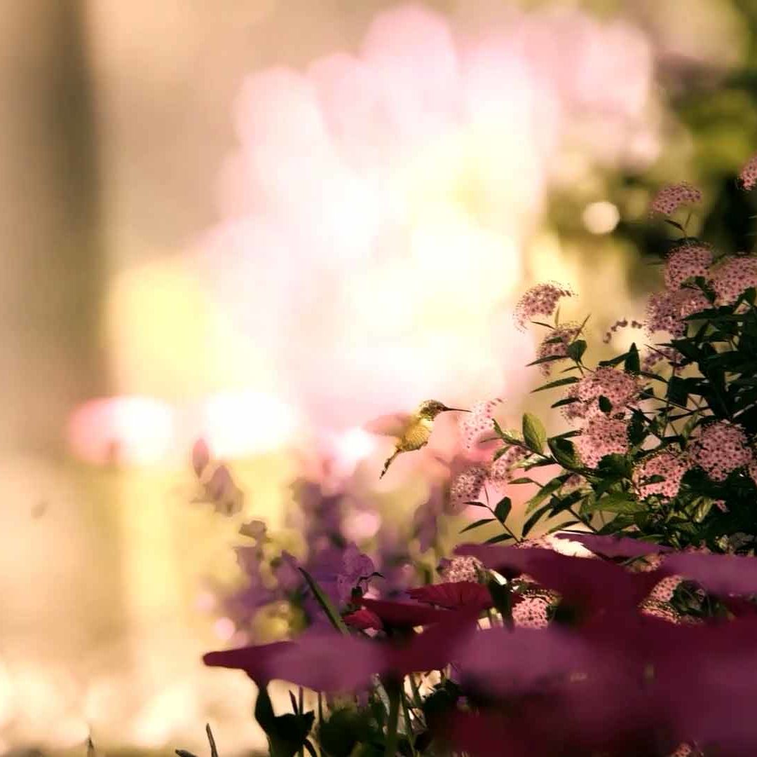 Lumion-Showcase-2020-2021-Gilson-Antune-Bridge