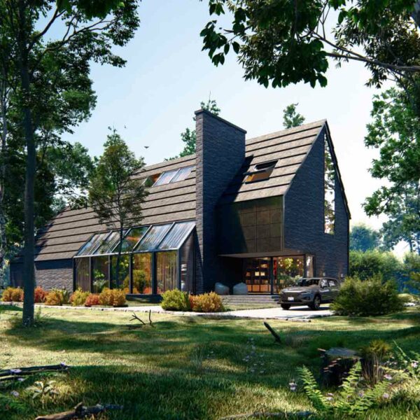 Lumion-12-maison-foret