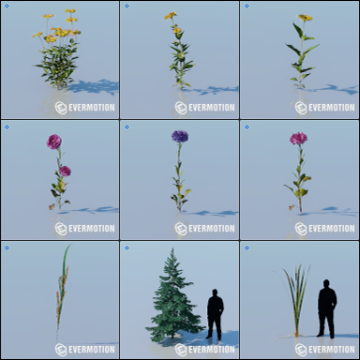 plantes-dans-Lumion-2023