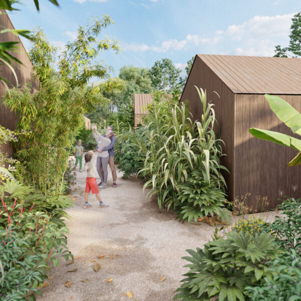 camping-la-foret-allée