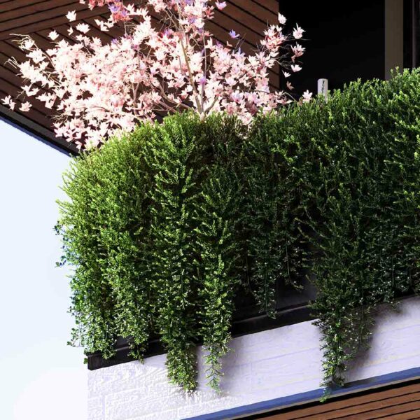 Plantes-Bibliotheque-vegetaux-3D-Lumion