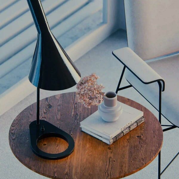 Table-bibliotheque-objets-Lumion-architecture-interieur