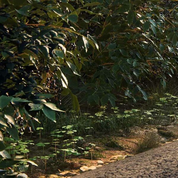 Extérieur de La Casa das Canoas - Projet Lumion 2023 par Adam Ingram