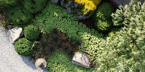 Lumion-Partenaire-ELASA-2023-jardin-européen