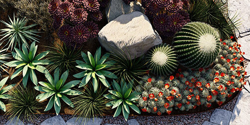 Lumion-Partenaire-ELASA-2023-plan-de-masse-jardin-européen