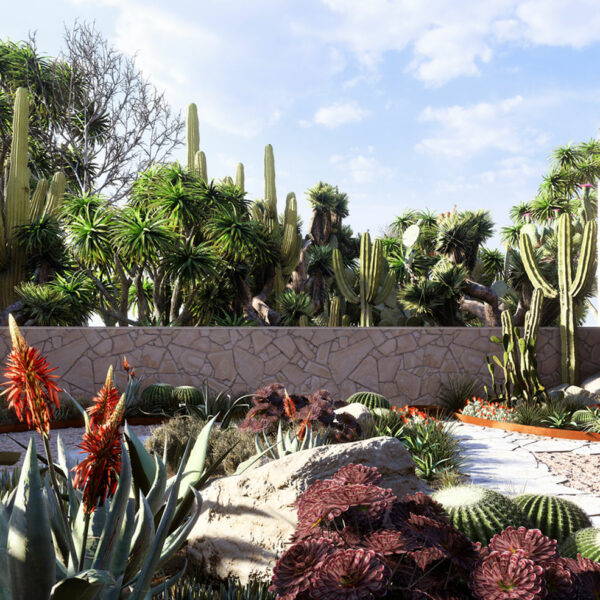 Plantes-arbres-3D-disponibles-Lumion