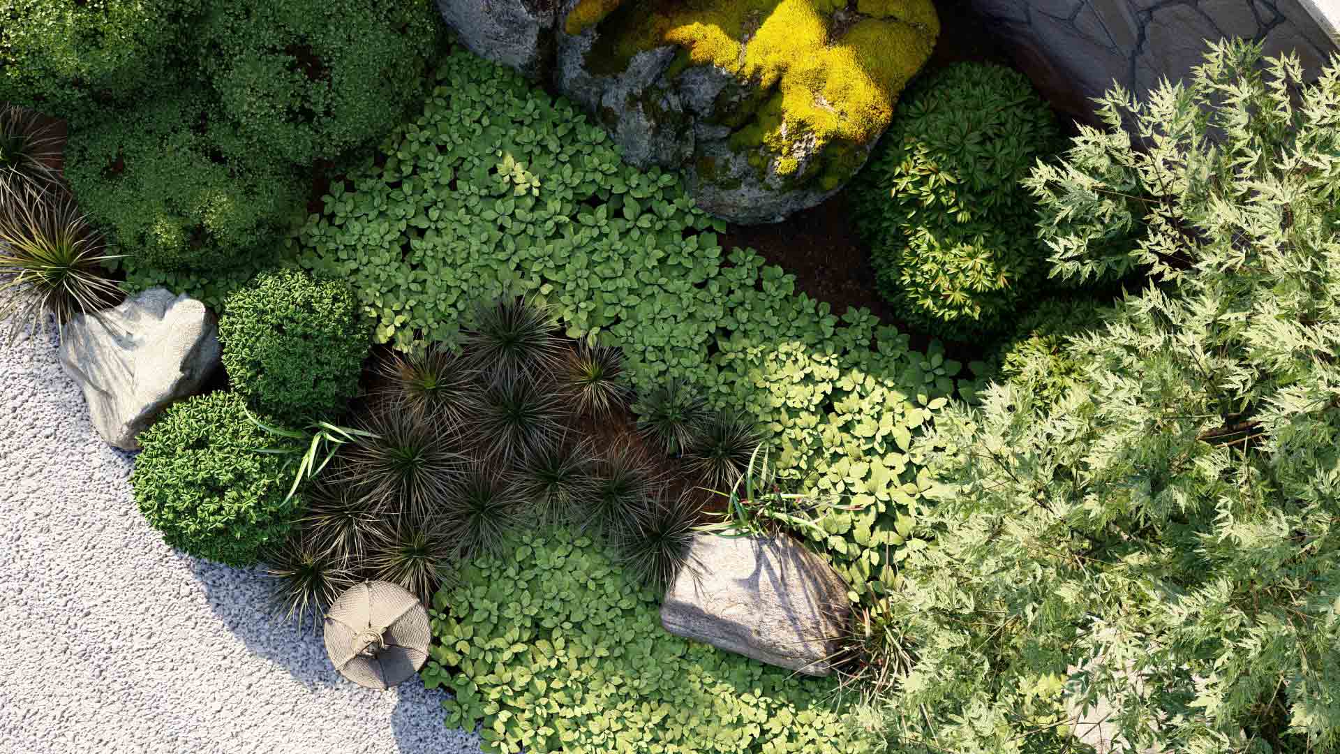 Vegetaux-3d-disponibles-lumion-plantes-arbres-pour-paysagistes