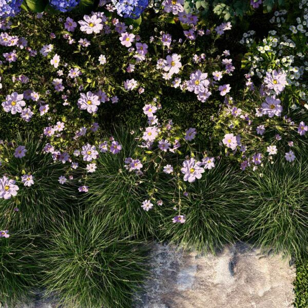 Vegetaux-disponibles-bibliotheque-Lumion-3D