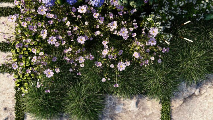 Vegetaux-disponibles-bibliotheque-Lumion-3D