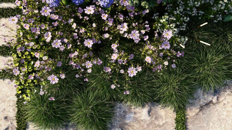 Vegetaux-disponibles-bibliotheque-Lumion-3D