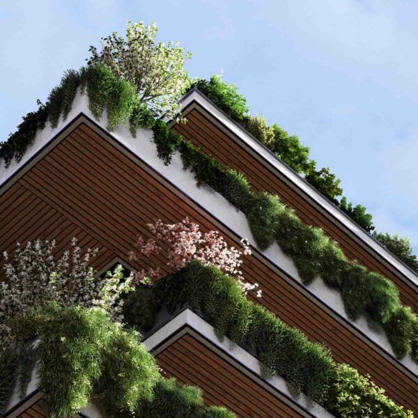 Lumion-2023-3-Rendu-realiste-plantes-grimpantes