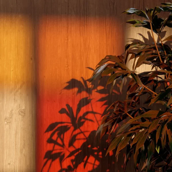 Lumion-2024-arrive-bientot-Colored-shadow