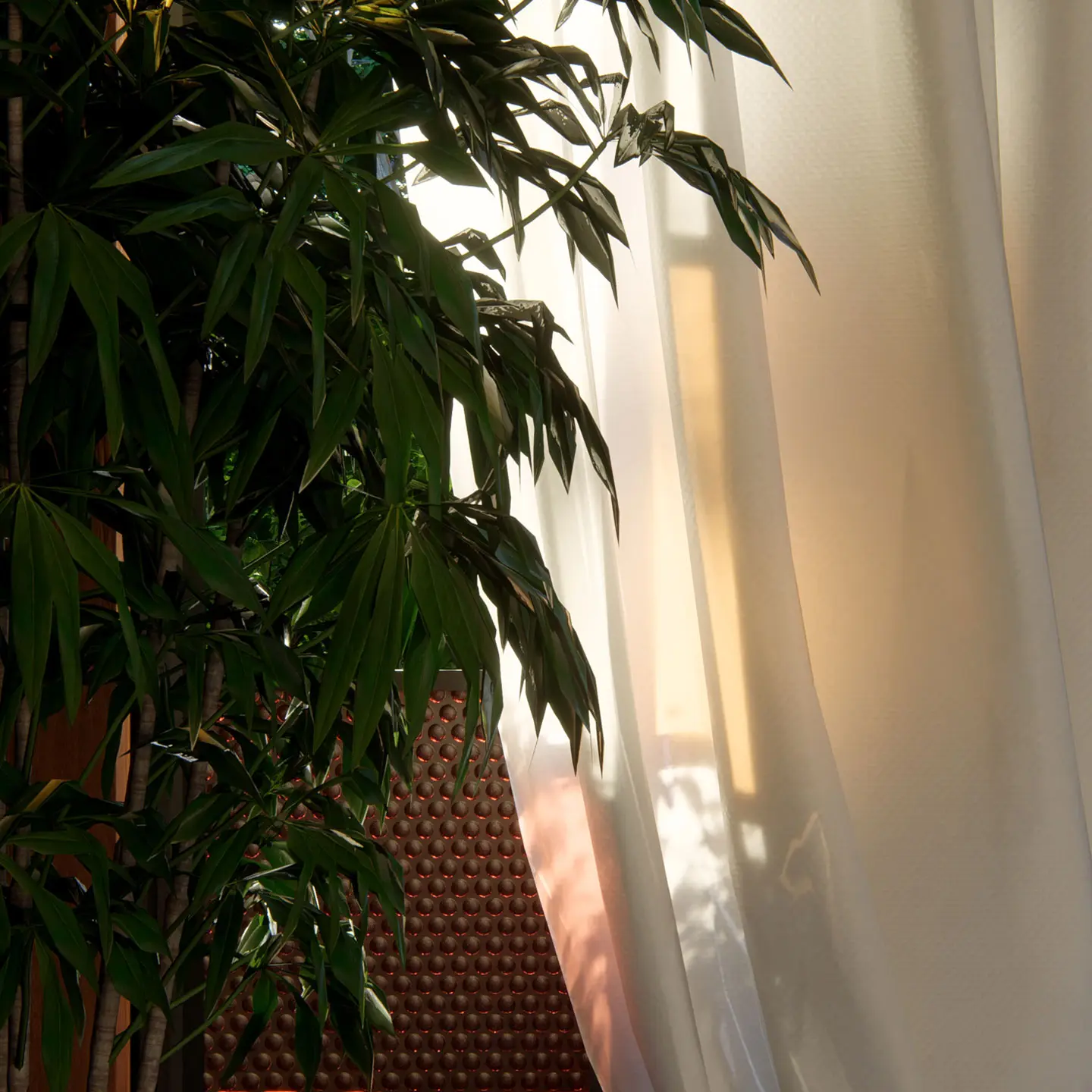 Lumion-2024-arrive-bientôt-Curtain-shadows-closeup