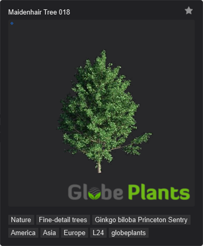 Grand-apercu-plantes-vegetaux-3D-Lumion-2024