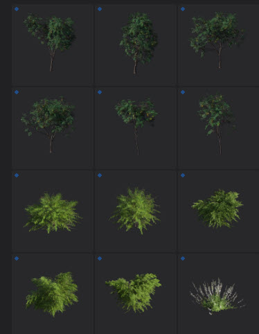 Nouveau-contenu-Lumion-2024-arbre-nature-8