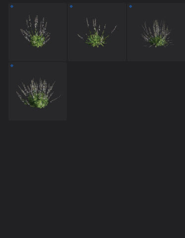 Nouveau-contenu-Lumion-2024-arbre-nature-9