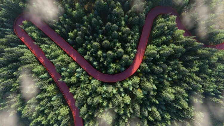 Integration-nature-3D-rendu-Lumion-2024