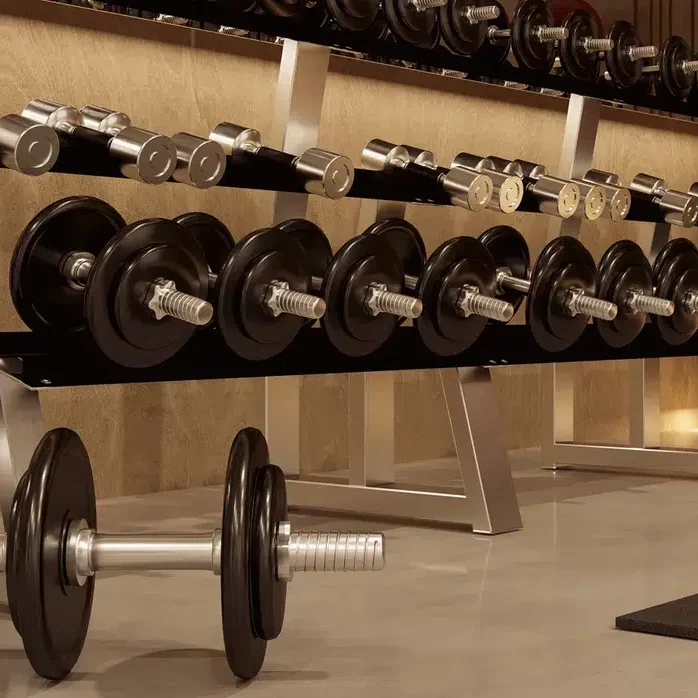 mise-a-jour-lumion-2024-1-alteres-musculation