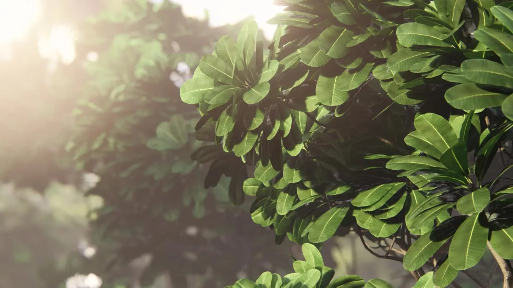 Lumion-3D-pour-les-paysagistes-bibliothèques