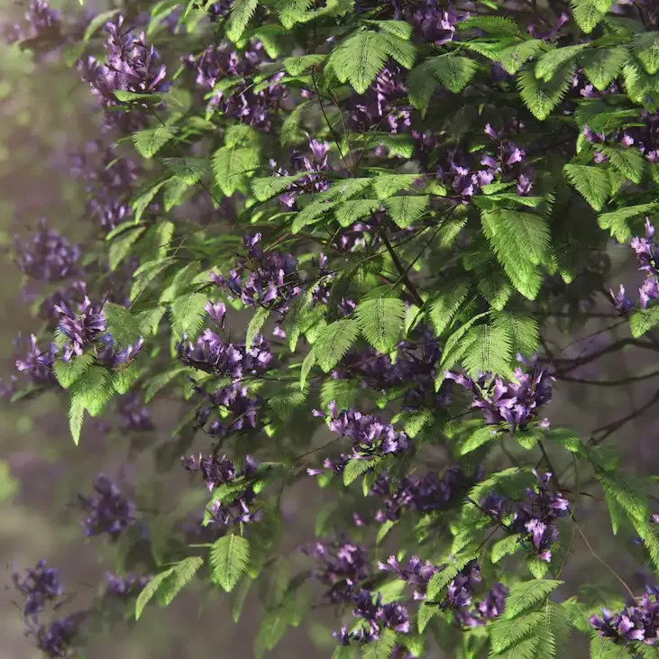 Lumion-pour-les-paysagistes-bibliothèques