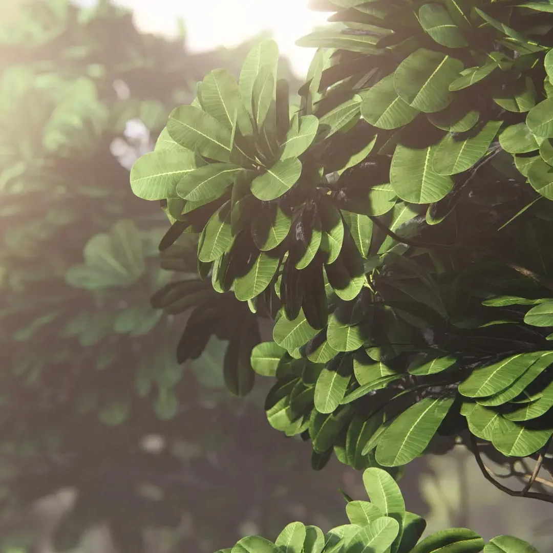 bibliotheque-pour-paysagistes-lumion