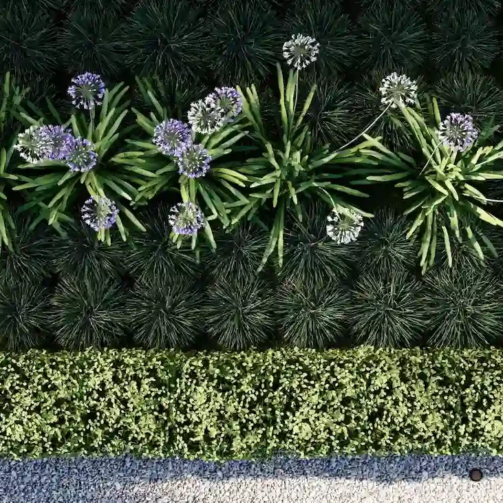 bibliotheque-zoom-studio-l4m-pour-paysagistes