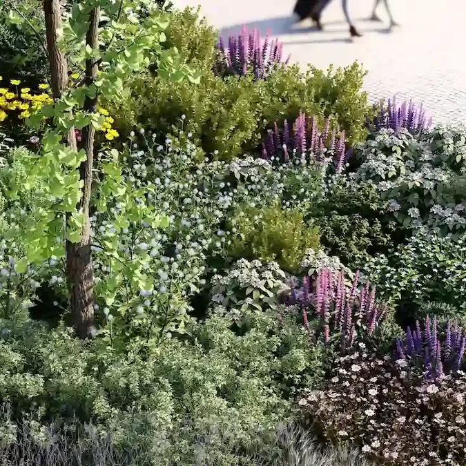 lumion-zoom-plante-paysagers