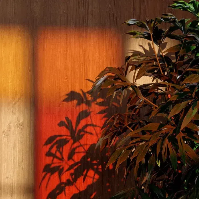 Verre-ray-tracing-Lumion-2024-lumiere-couleurwebp