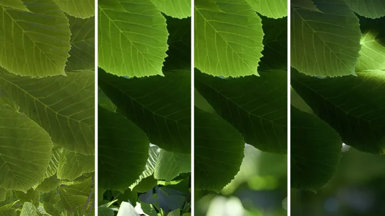 6-effets-Lumion-rendus-realistes