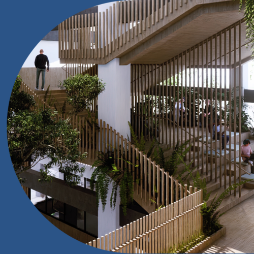 Lumion pour les écoles